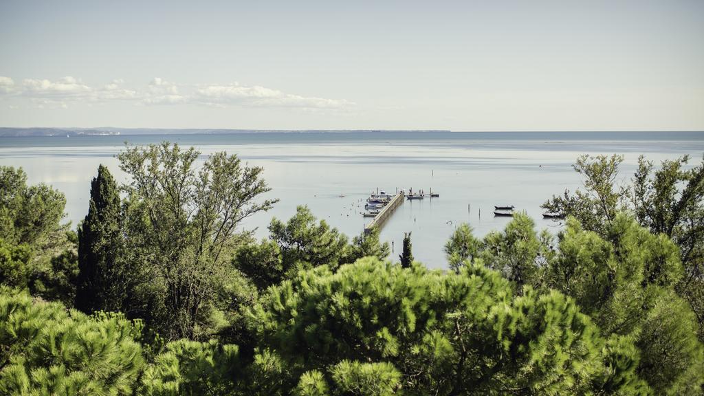 Residence Al Bosco Grado Dış mekan fotoğraf